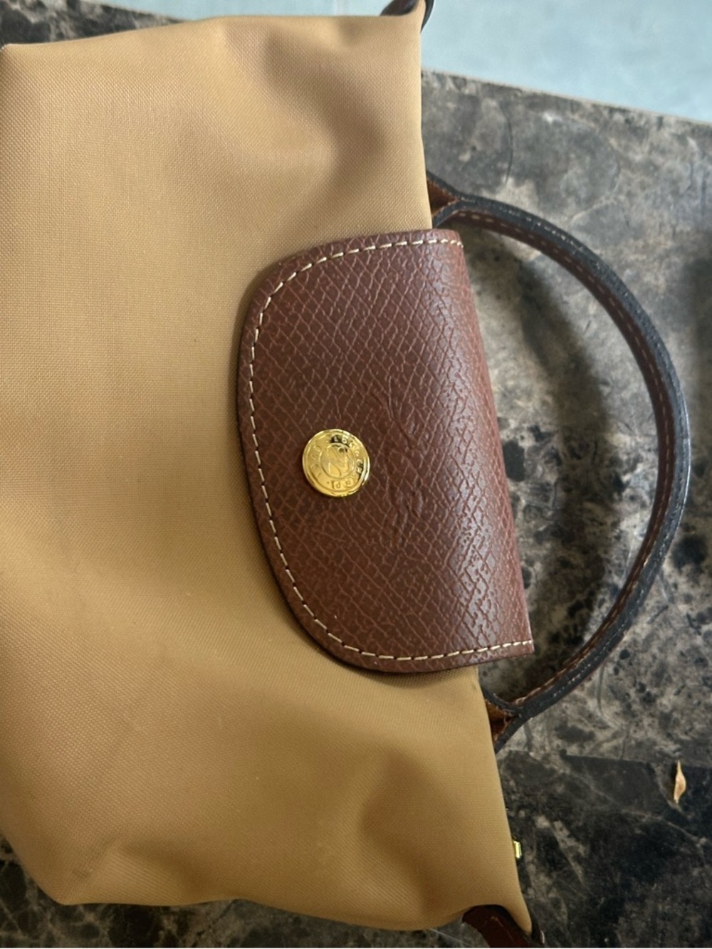 Longchamp Mini Bag in Tan with Brown Trim